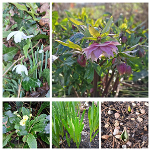 Spring is Around the Corner